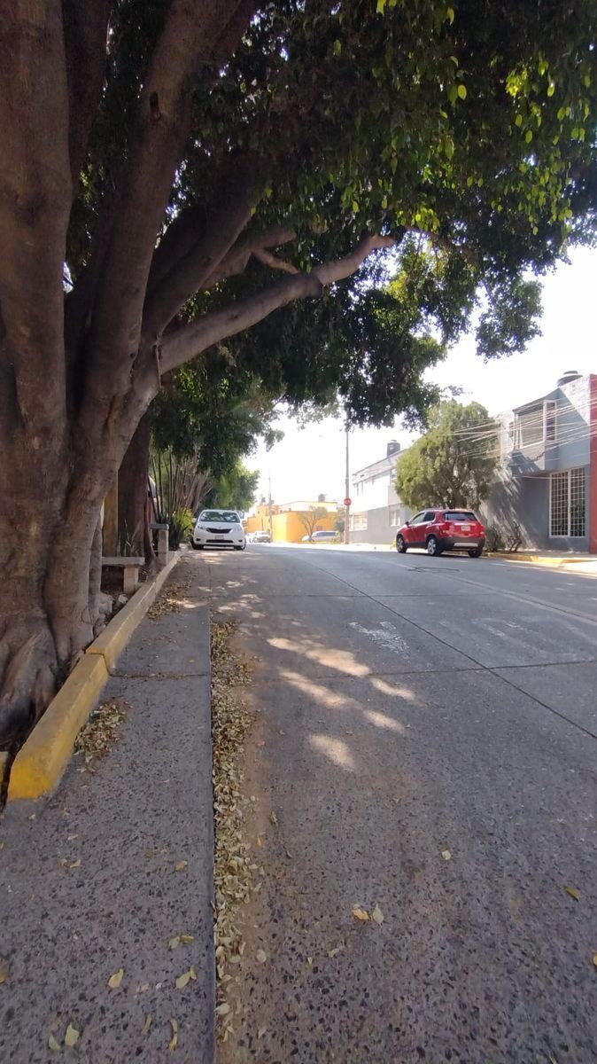 5 de 20