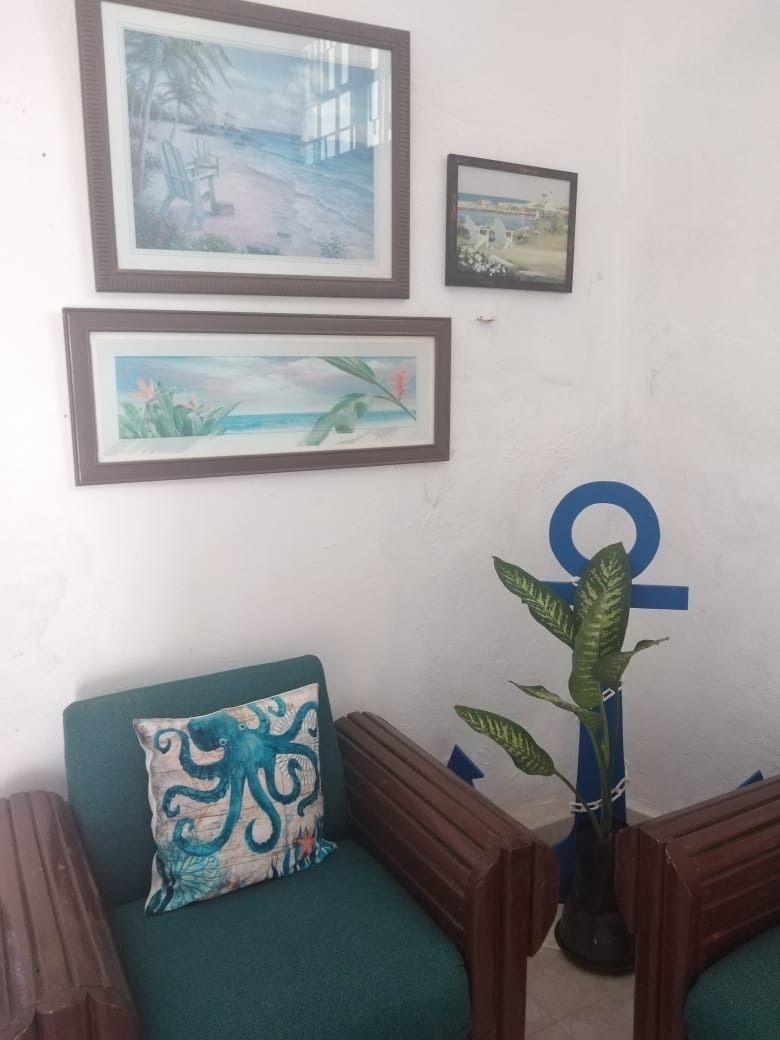 17 de 31