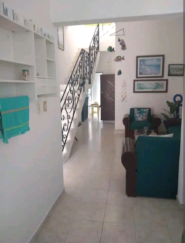 19 de 31