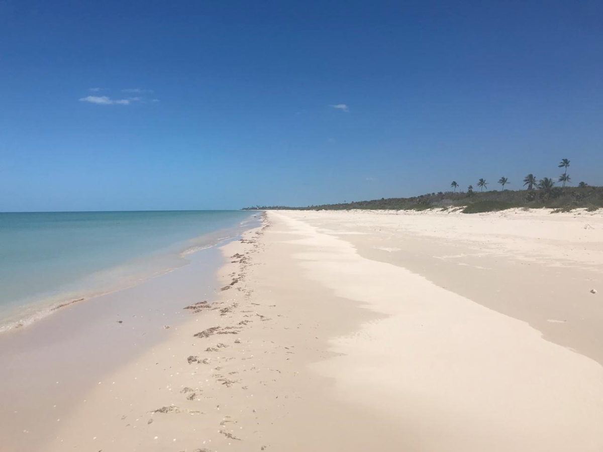 Terreno frente al Mar en Sisal, Yucatán.