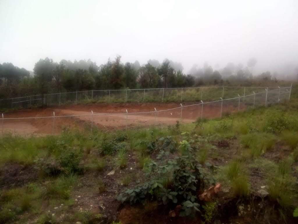 2 de 4