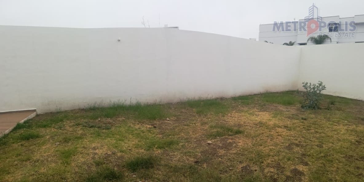 24 de 31