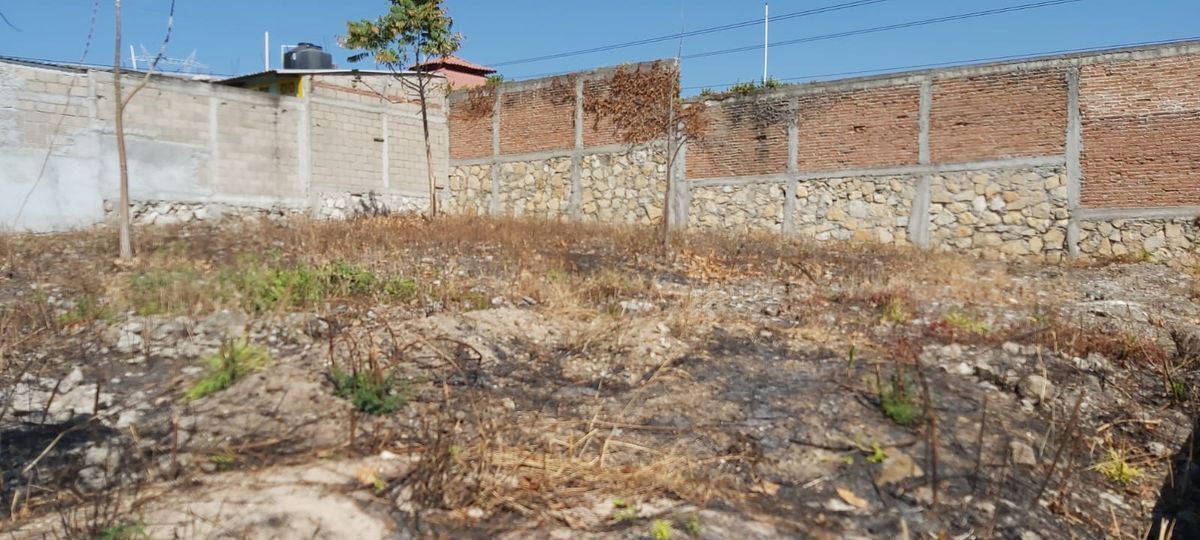 LAND FOR SALE “COL. LOMA LARGA” - foto 3