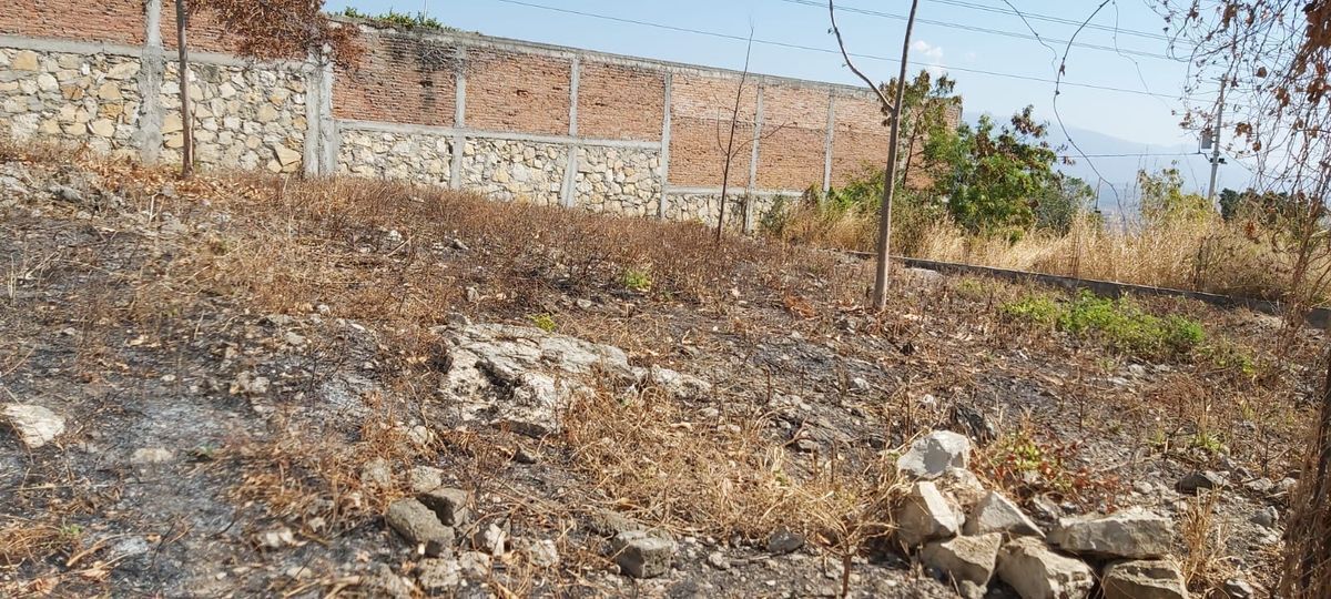 LAND FOR SALE “COL. LOMA LARGA” - foto 4