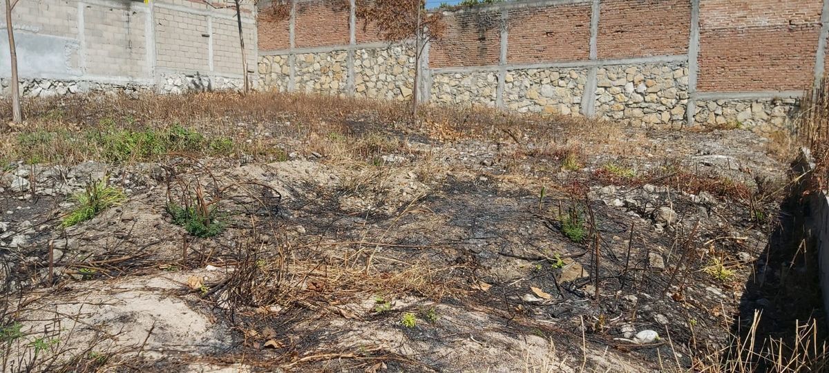 LAND FOR SALE “COL. LOMA LARGA” - foto 5