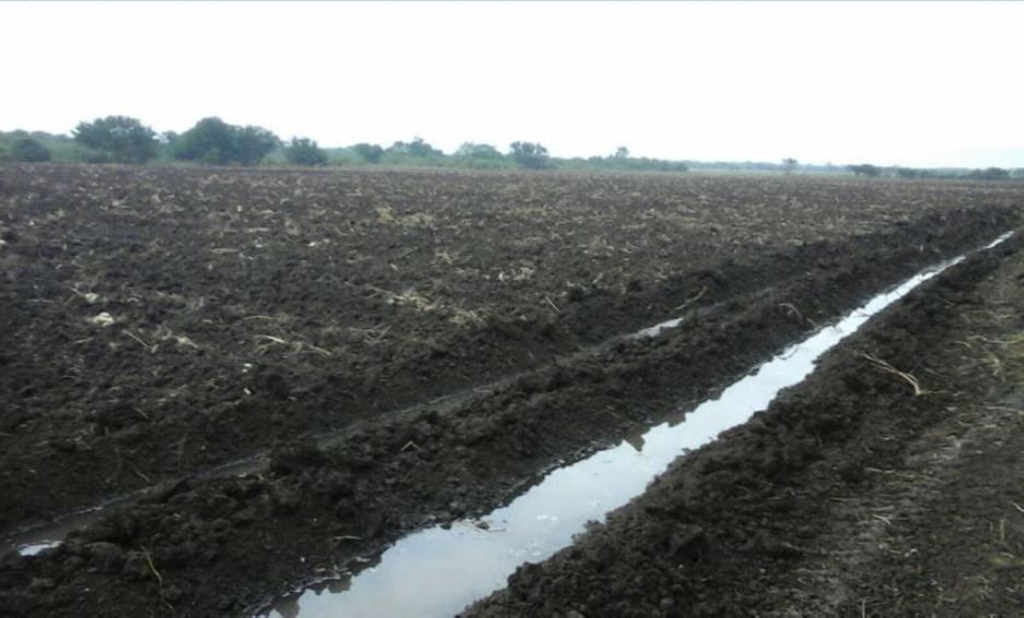 Terreno de 150 hectáreas en venta en Santa Margarita. SAN ANDRÉS TUXTLA, VER.