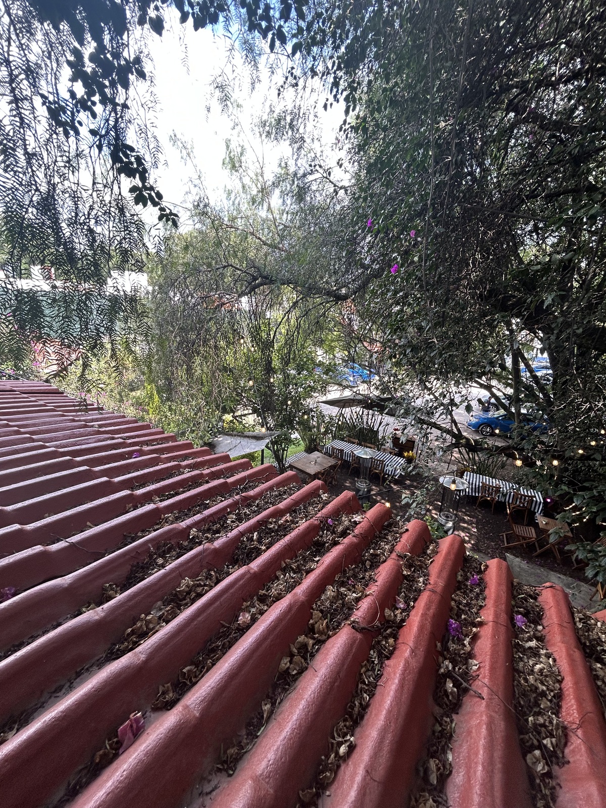 12 de 26