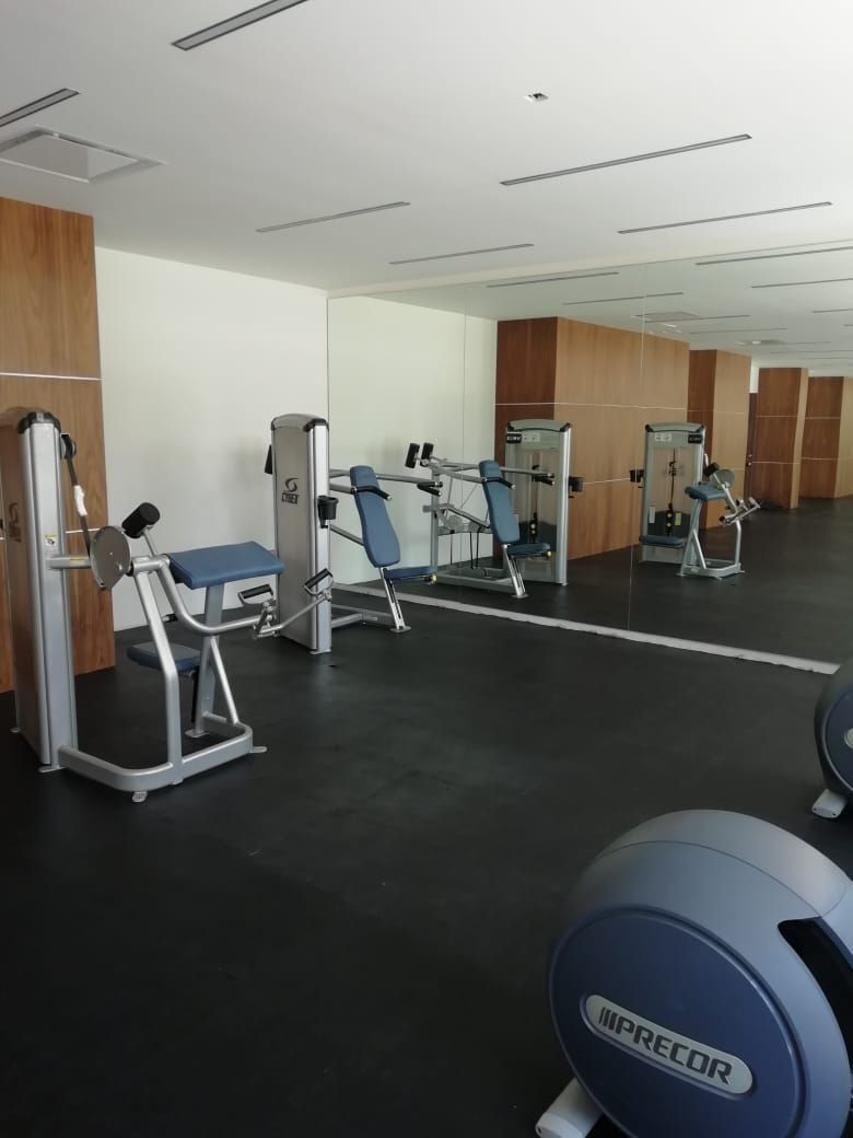 12 de 34: GIMNASIO 