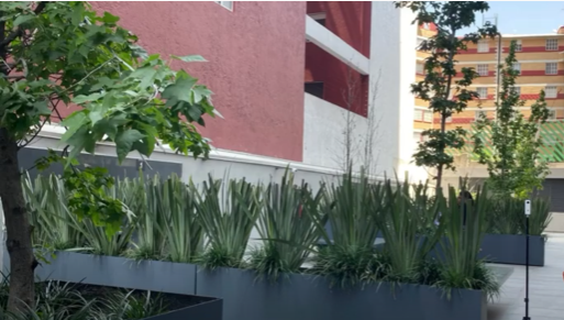 32 de 34: ZONA DE ASADORES 