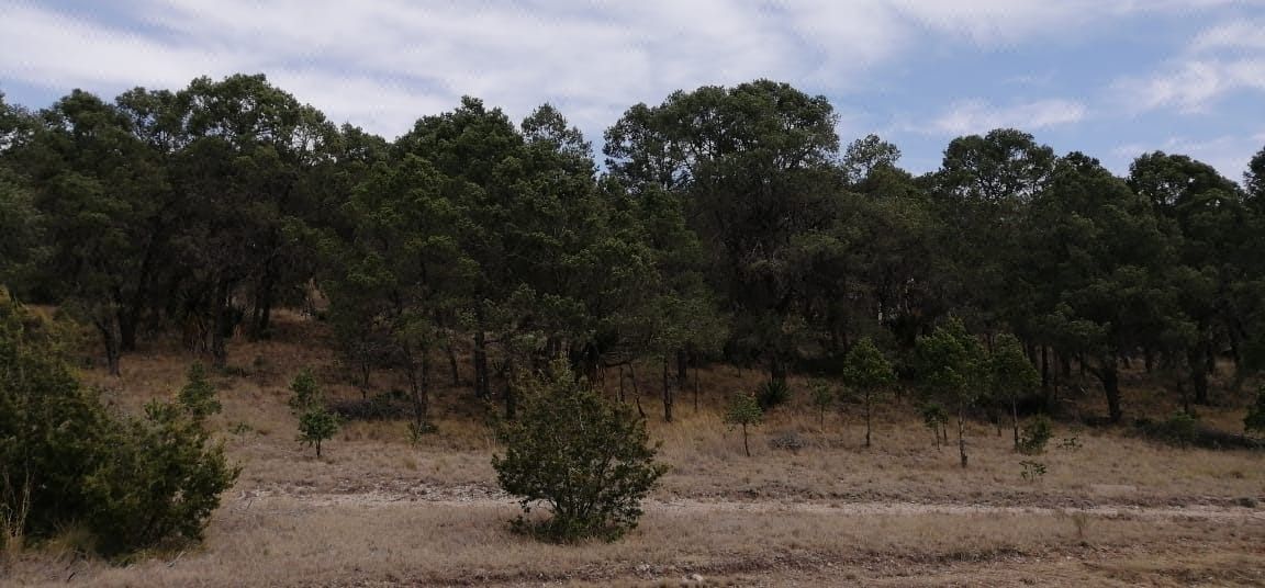 Terreno en Venta en la Sierra de Arteaga