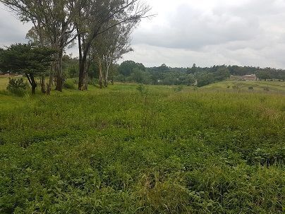 TERRENO COMERCIAL & HABITACIONAL EN VENTA - foto 1