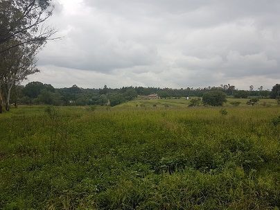 TERRENO COMERCIAL & HABITACIONAL EN VENTA - foto 2