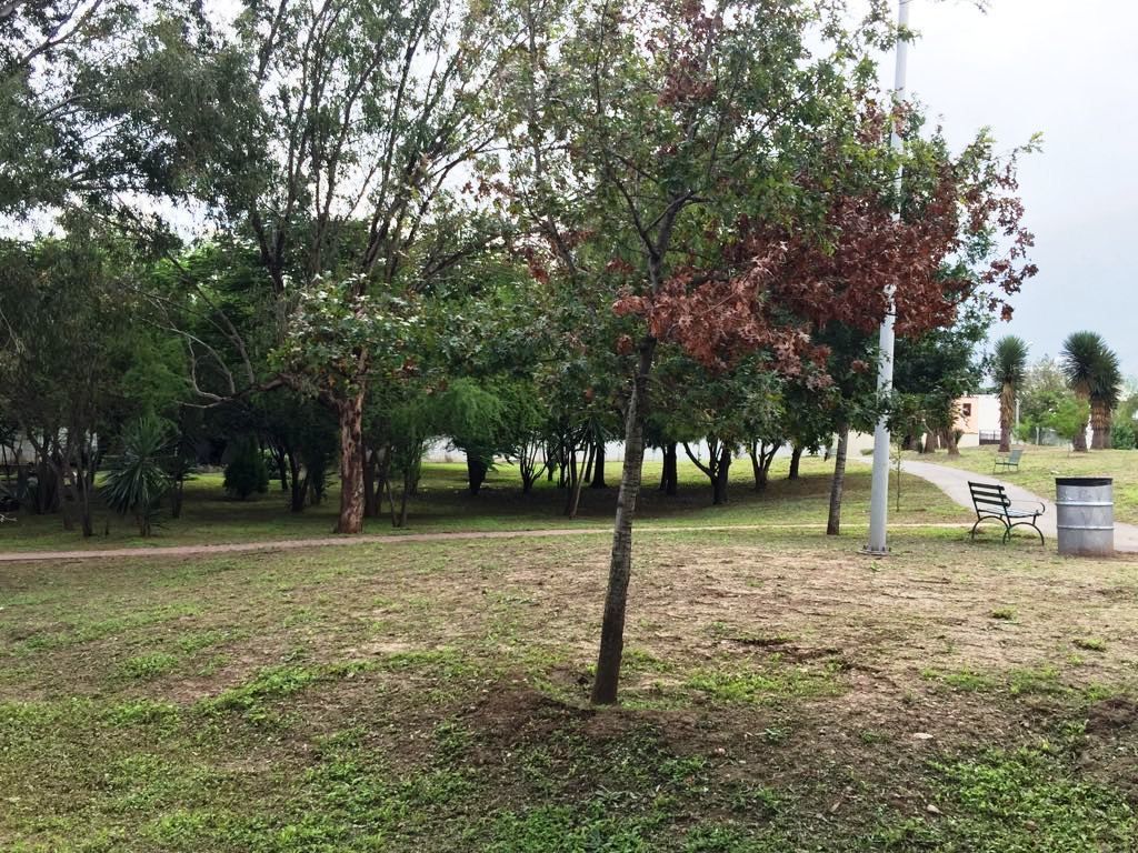 32 de 32: Parque exclusivo para residentes.