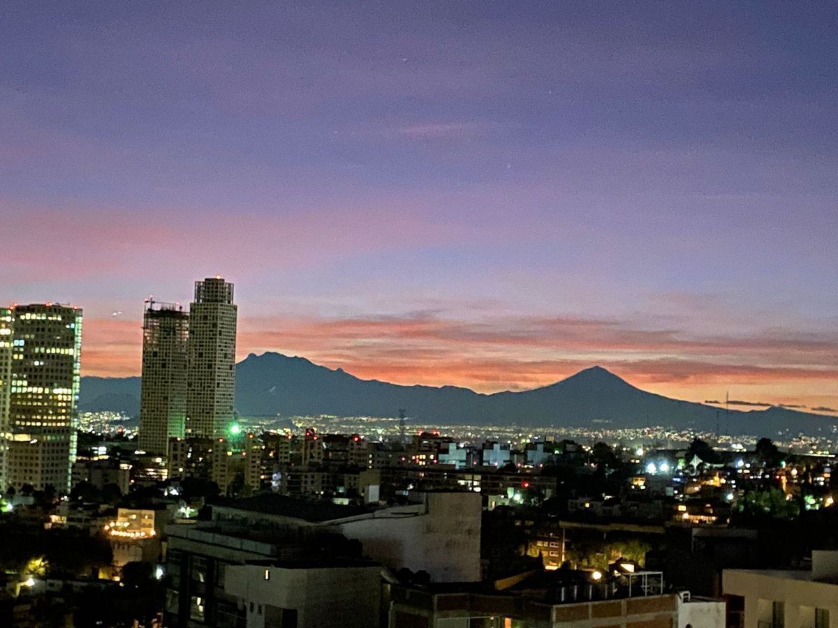 11 de 31