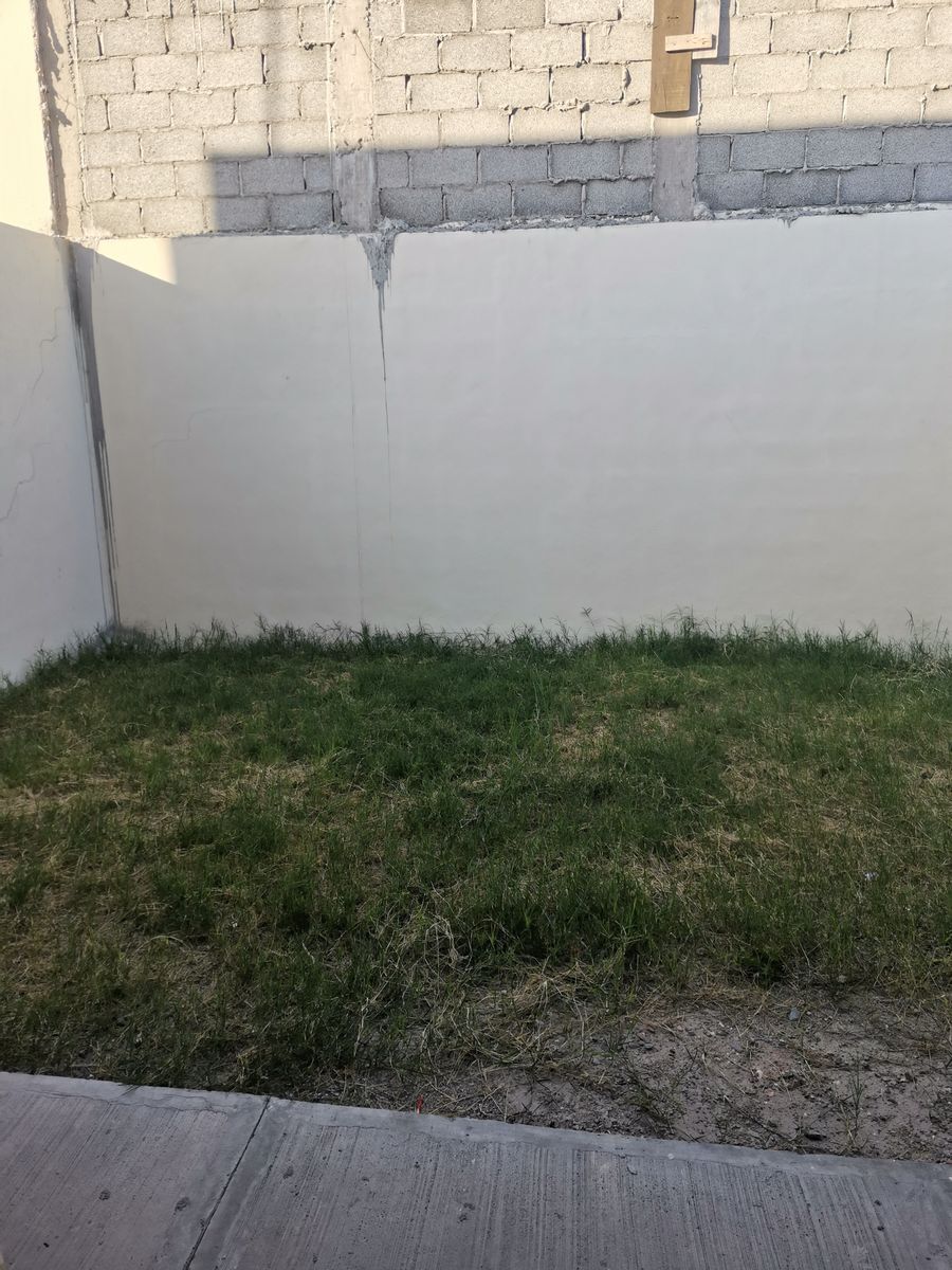 6 de 19