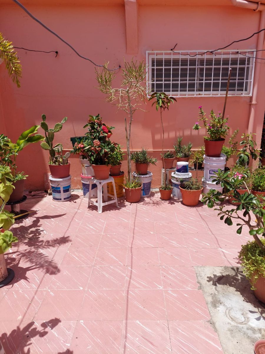 6 de 22