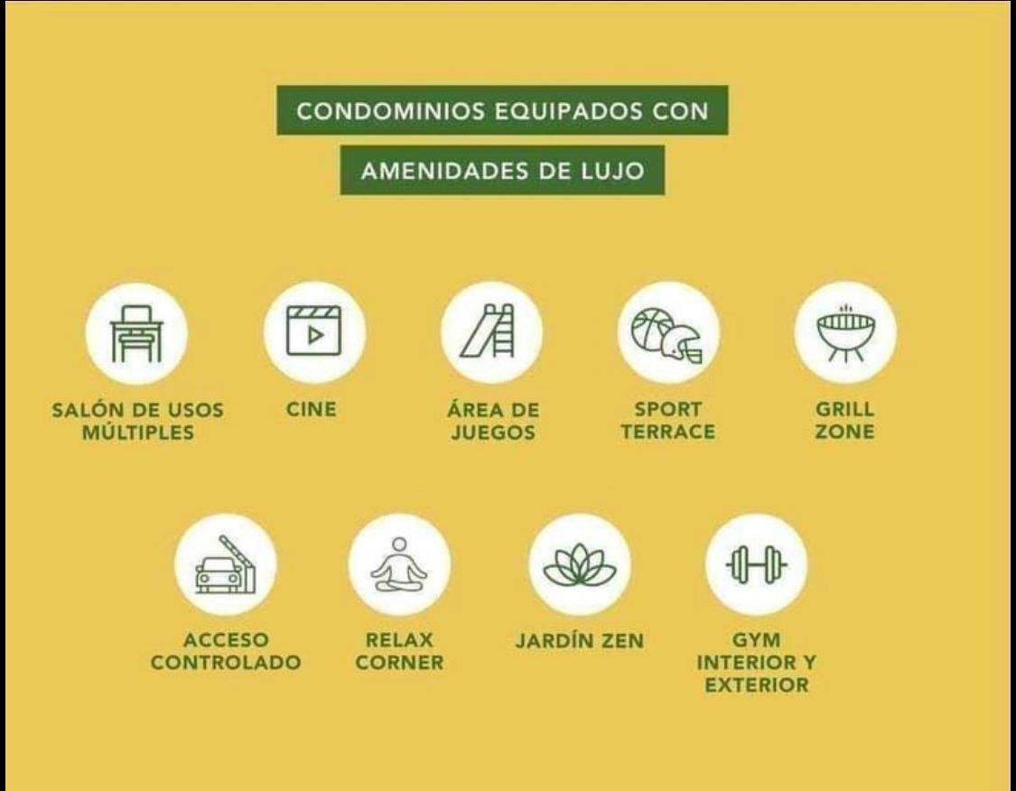 11 de 13