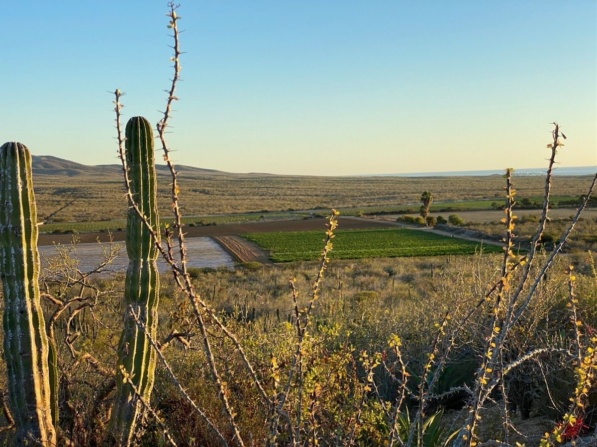 3 de 23: Campo agrícola a un costado.