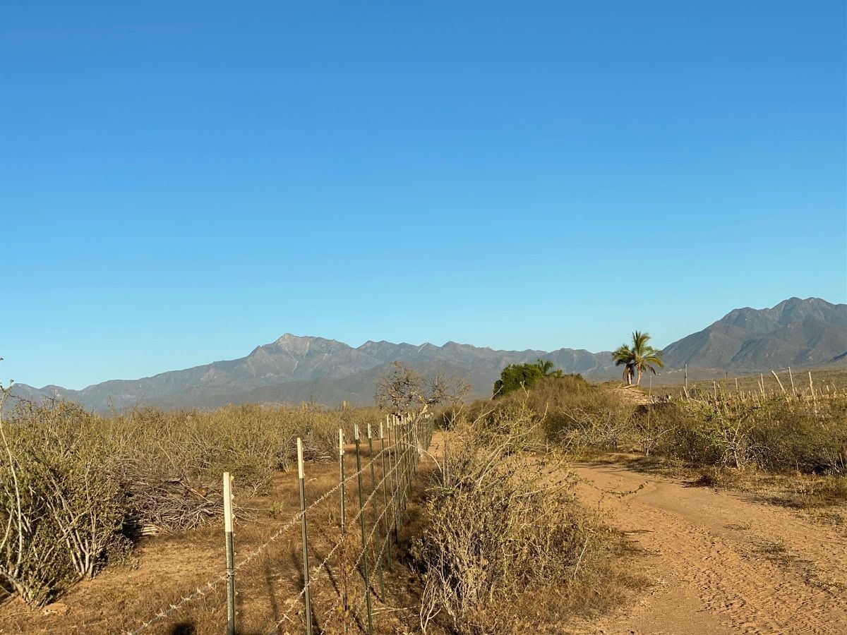 13 de 23: Camino de terraceria desde carretera