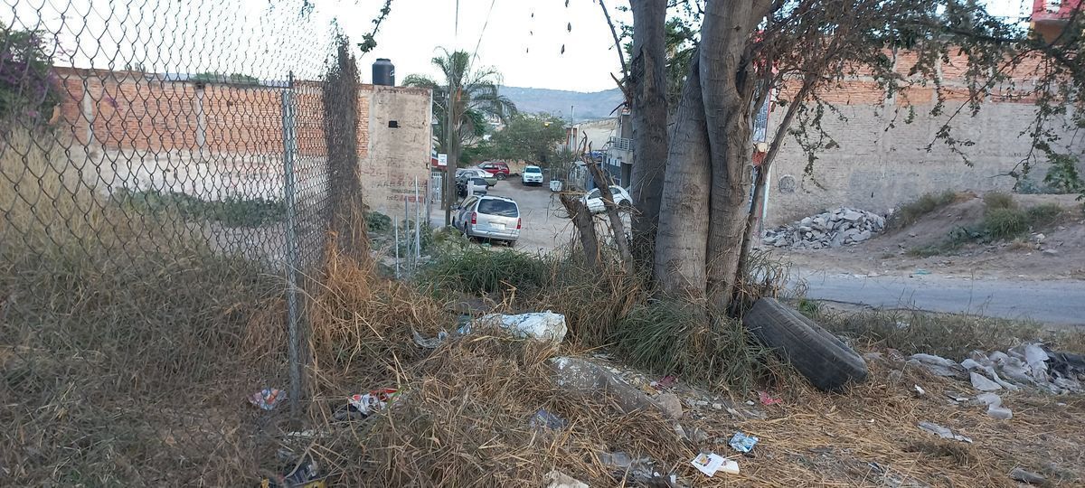 11 de 27: Priv. Alvaro Obregón