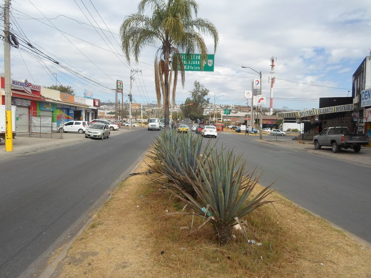 26 de 27: Al fondo Carr. Libre Zapotlanejo