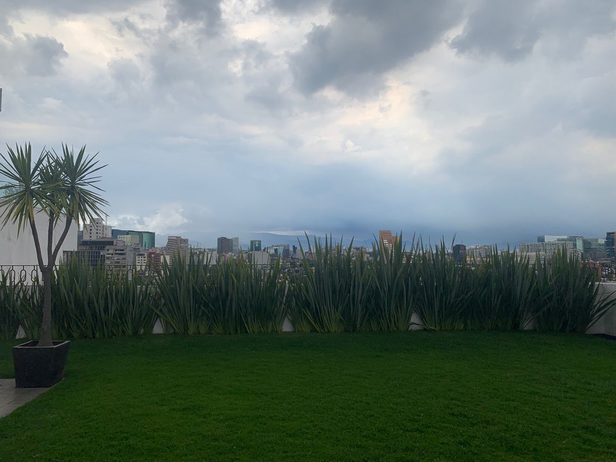 23 de 26