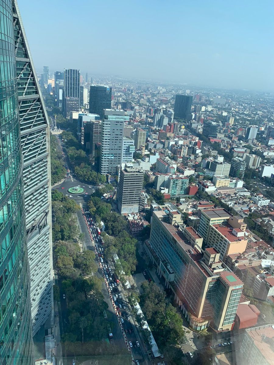 15 de 16
