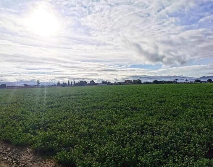 Rancho en funcionamiento con concesión de pozo