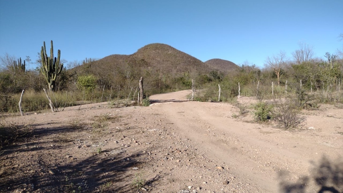 Venta Terreno / Lote Ejidal - Sinaloa