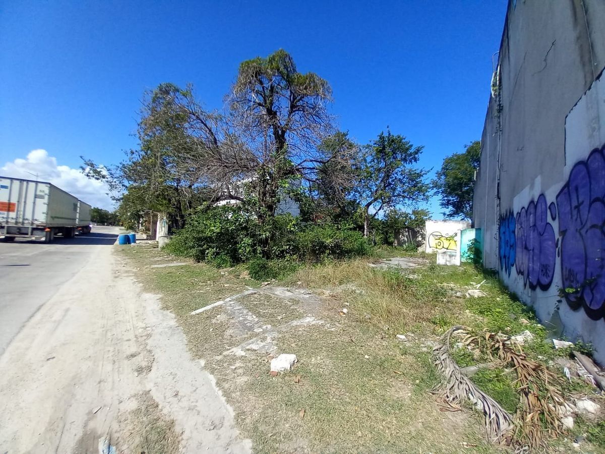 3 de 17