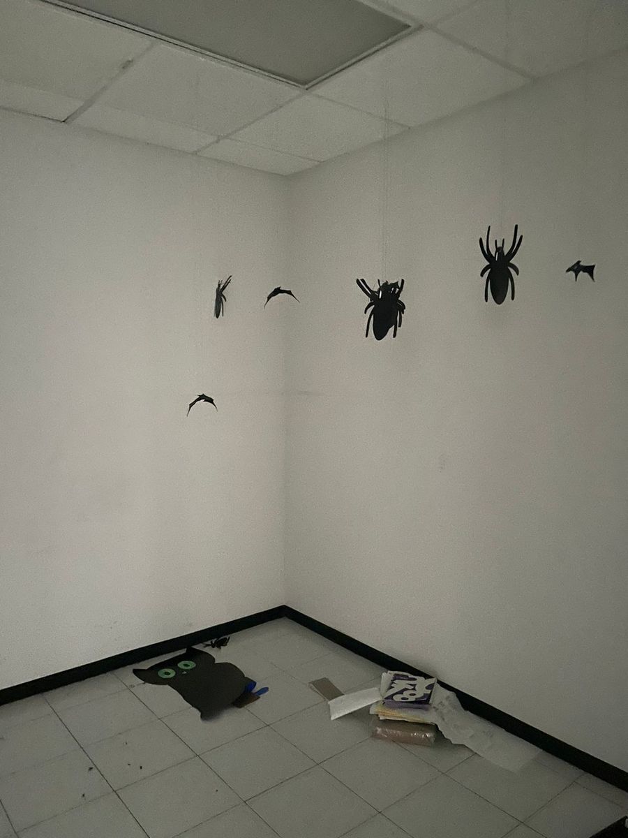 4 de 12