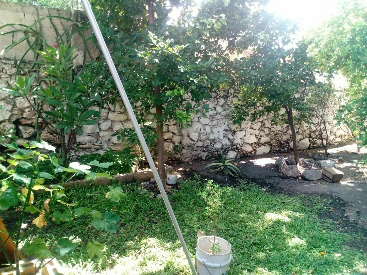 2 de 29