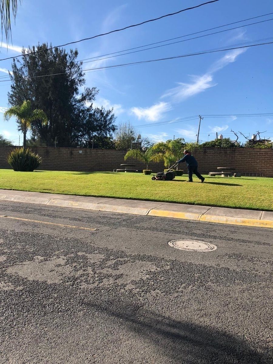 16 de 37