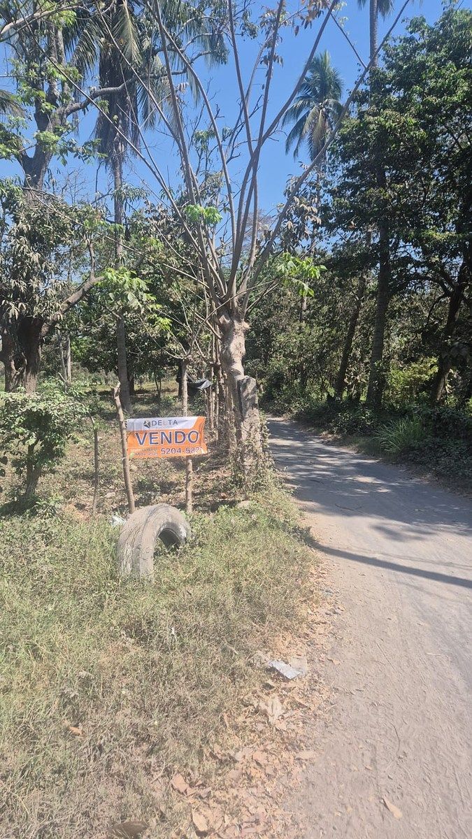 Terreno en Escuintla, foto 14 de 18