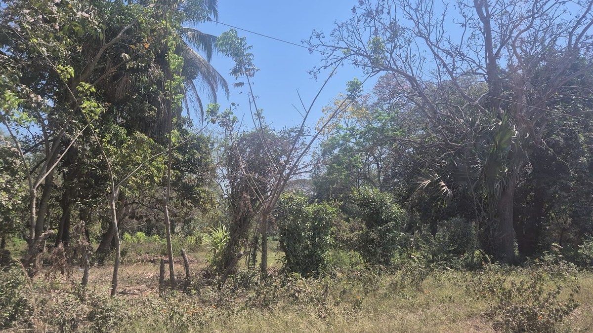Terreno en Escuintla, foto 16 de 18