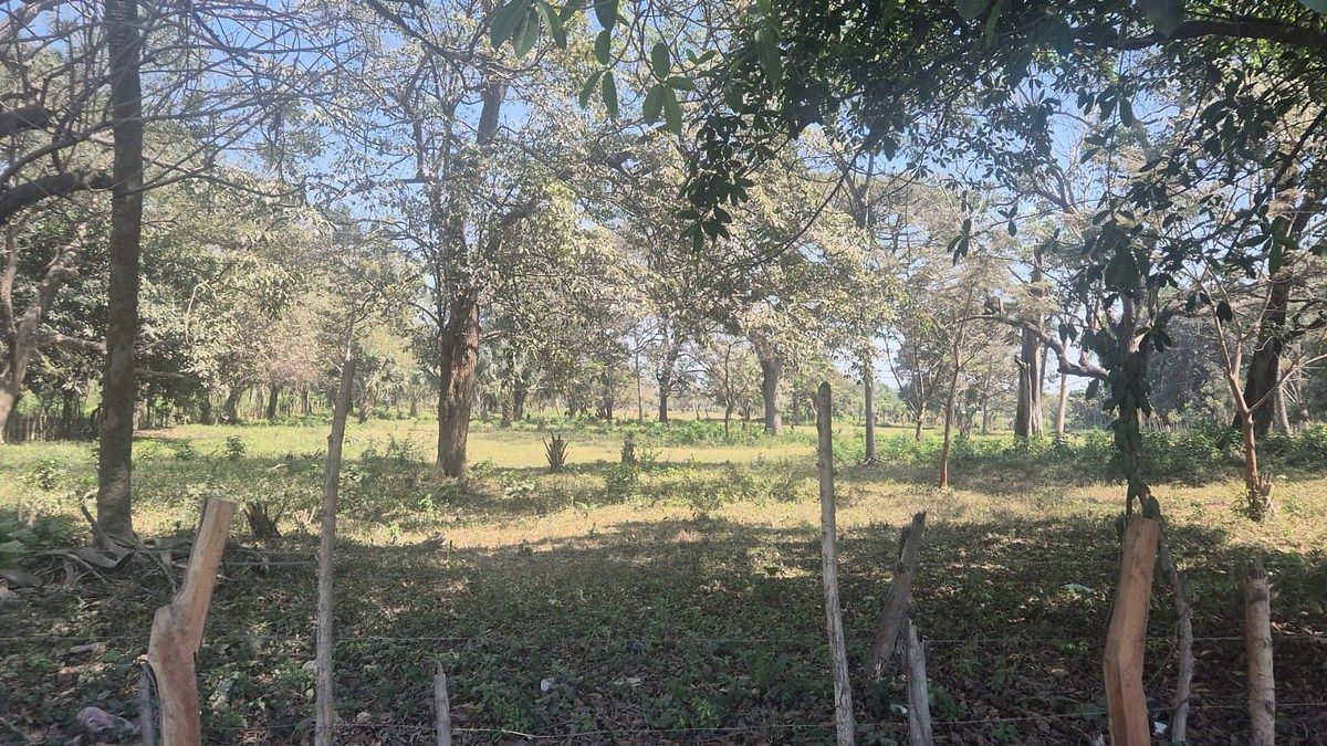Terreno en Escuintla, foto 3 de 18