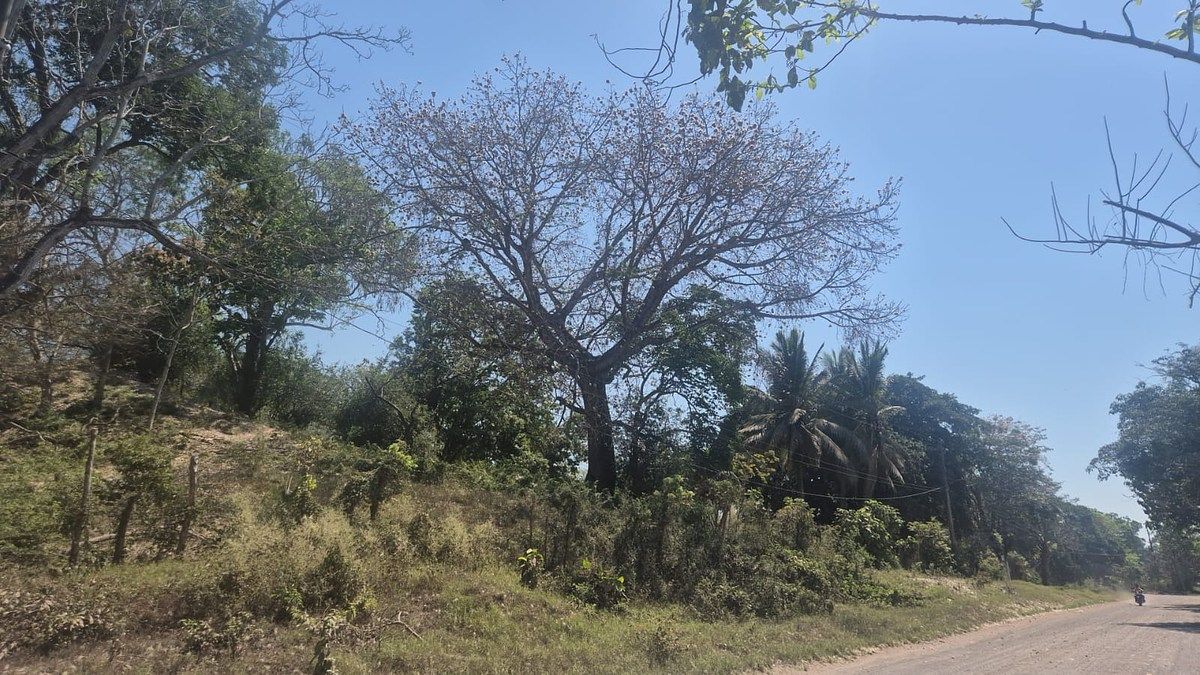 Terreno en Escuintla, foto 17 de 18