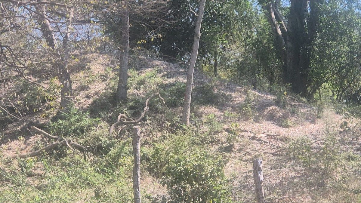 Terreno en Escuintla, foto 18 de 18