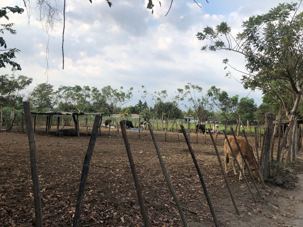 Terreno en Escuintla, foto 9 de 18