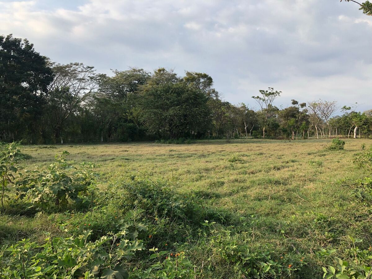 Terreno en Escuintla, foto 6 de 18