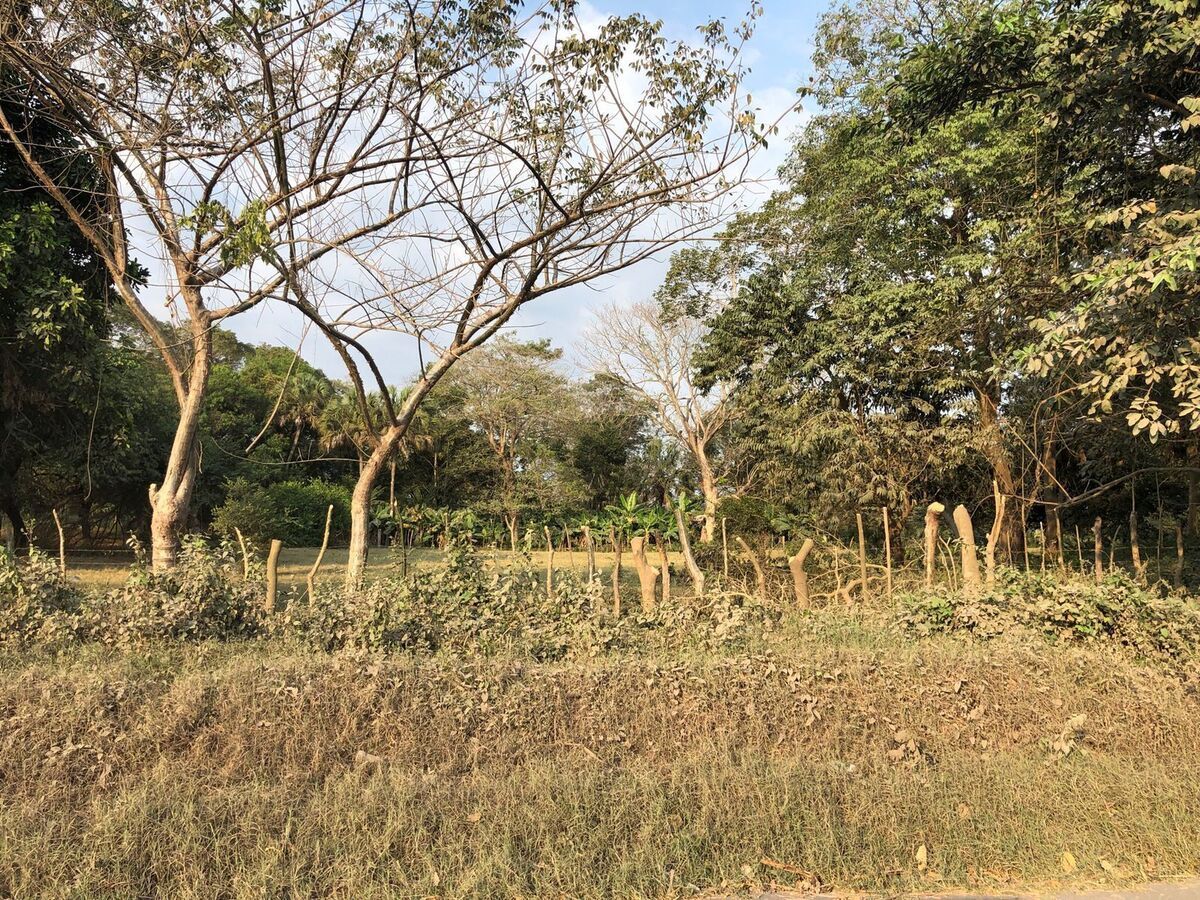 Terreno en Escuintla, foto 10 de 18
