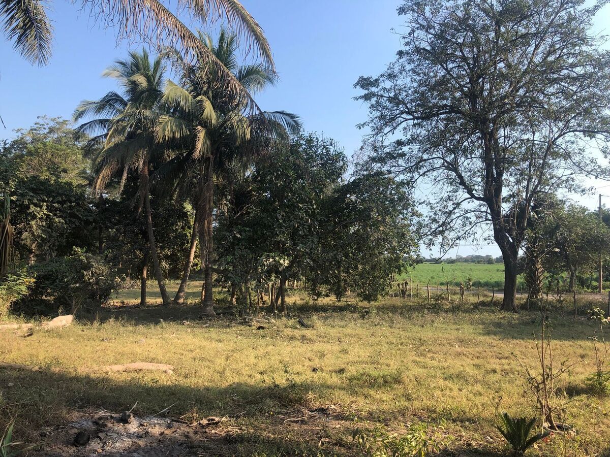 Terreno en Escuintla, foto 5 de 18