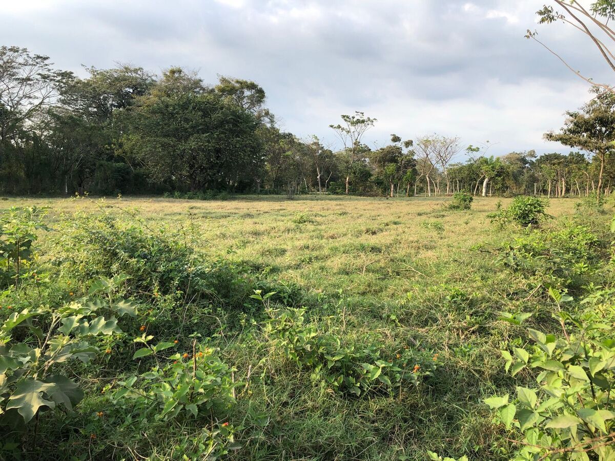 Terreno en Escuintla, foto 7 de 18