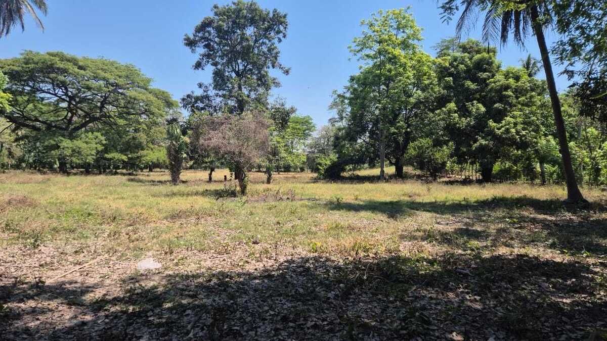 Terreno en Escuintla, foto 12 de 18