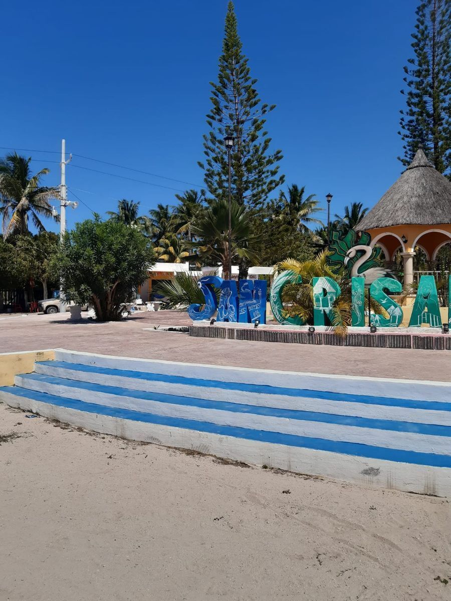 3 de 11