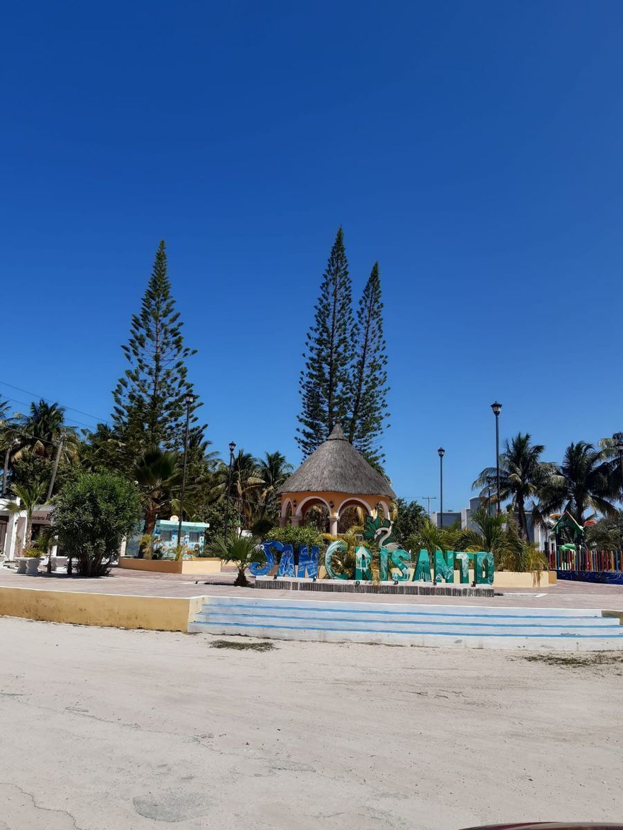 2 de 11