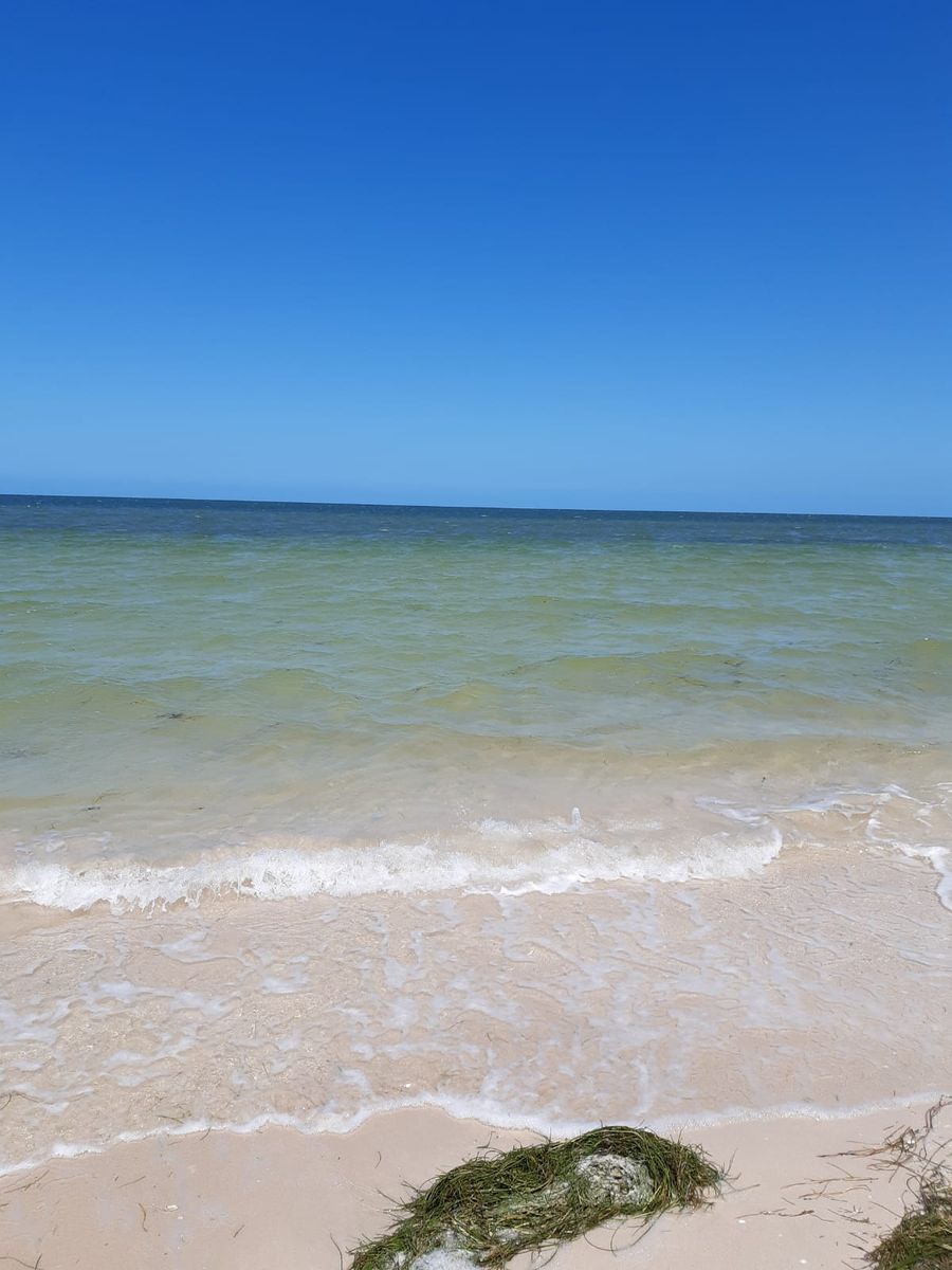 5 de 11