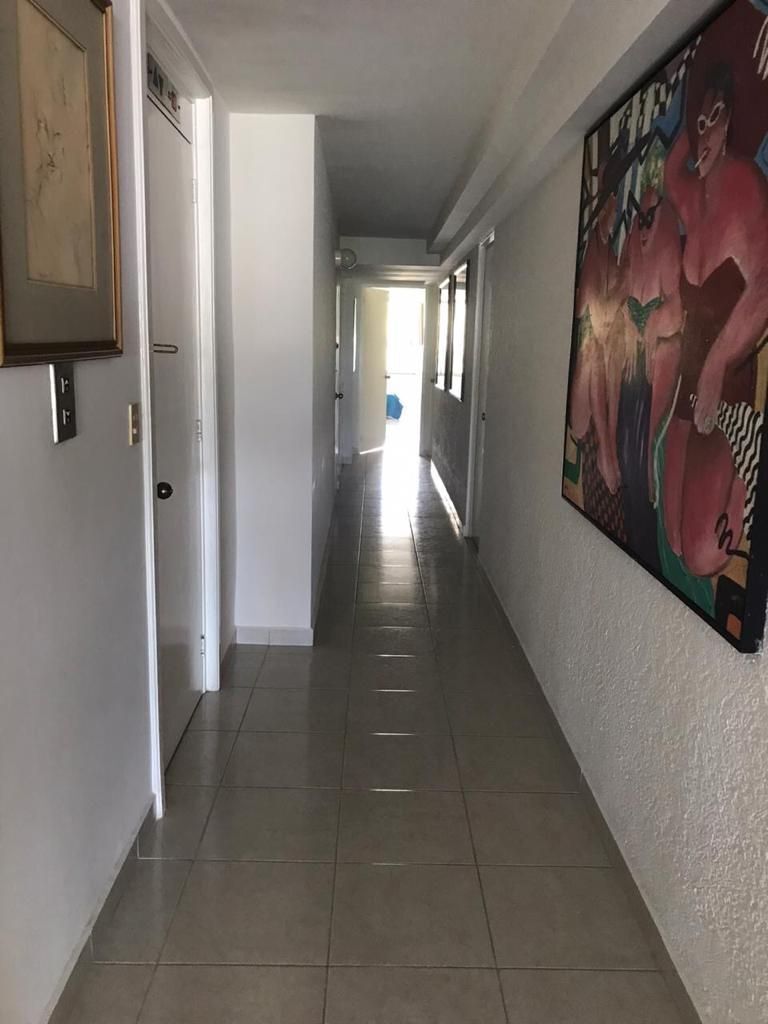 6 de 19