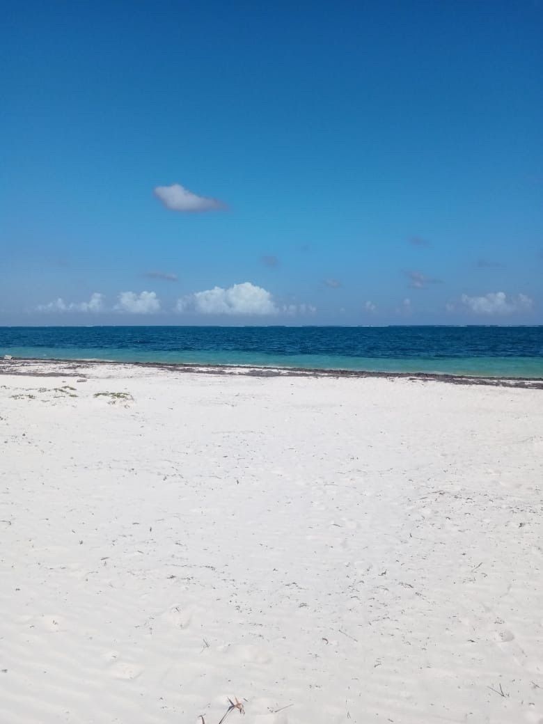 venta de terreno frente al mar del caribe Quintana Roo en Puerto Morelos | Brokar Marketplace