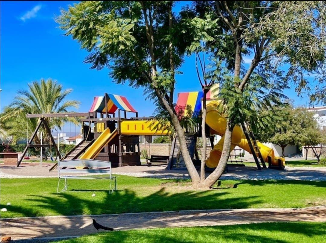 5 de 6